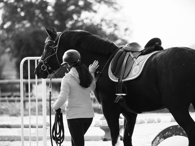 Anne Gosme travaillant avec un cheval 3