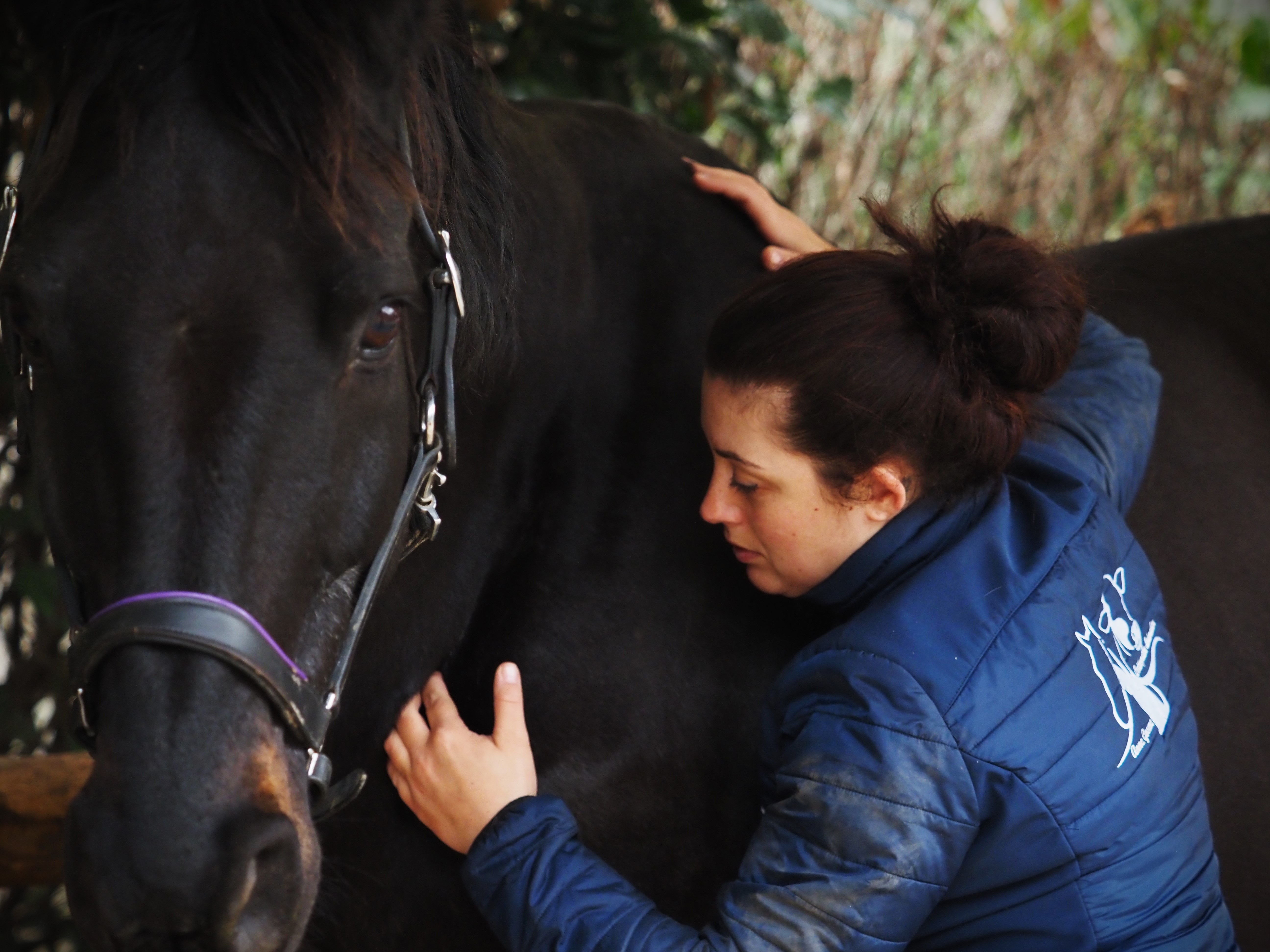 Anne Gosme travaillant avec un cheval 4